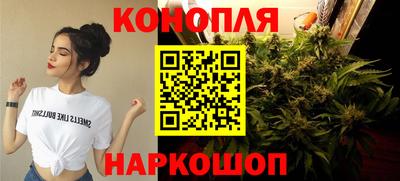 мяу мяу мука Владивосток